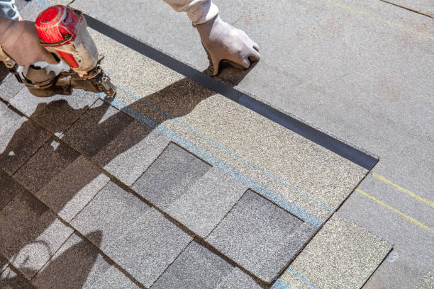Best Chimney Flashing Repair  in Las Animas, CO